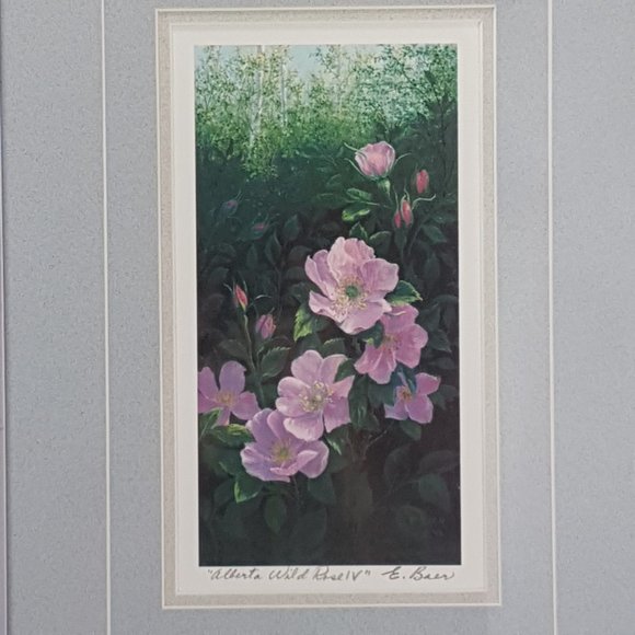 Framed Art Prints Alberta Wild Rose IV and Alberta Wild Rose VI by Elsie Baer - Picture 13 of 16